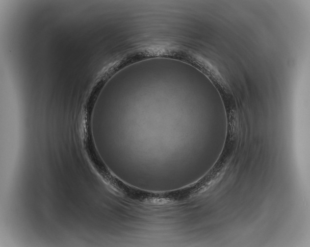 X0000116630590200912181326