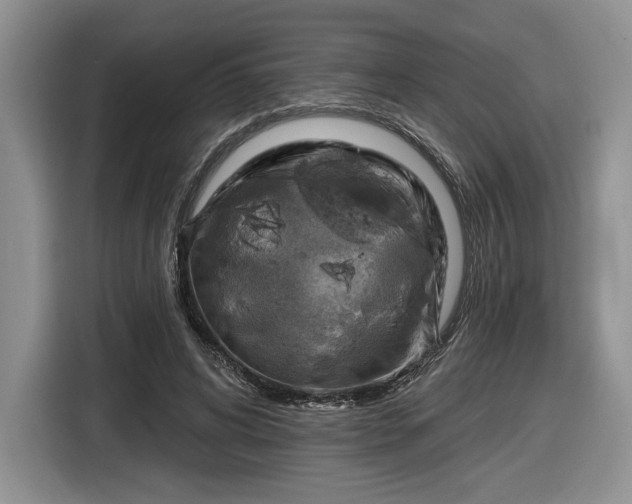 X0000116630592200912181326