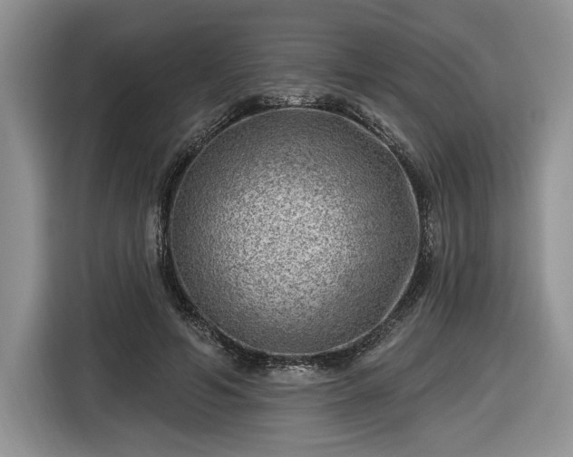 X0000116630594200912181326