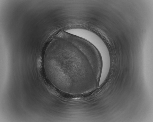 X0000116630596200912181326