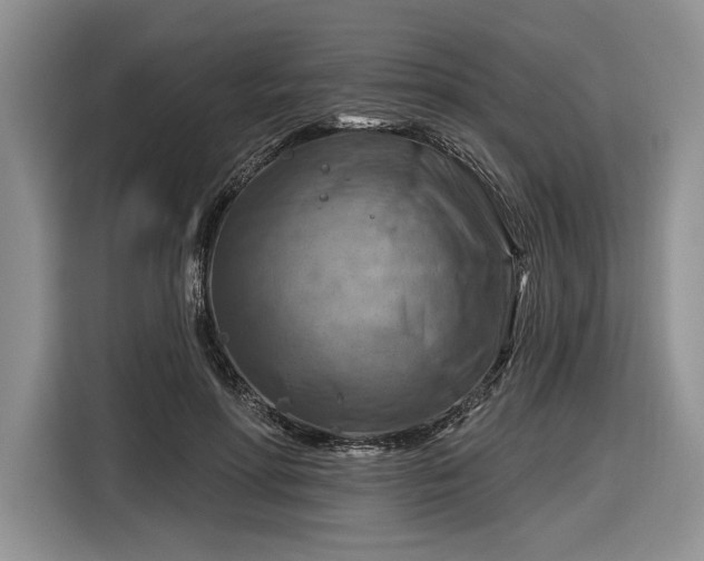 X0000116630598200912181326