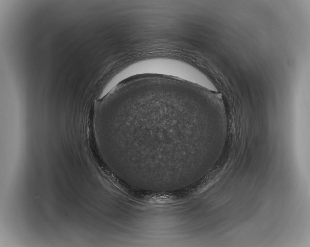 X0000116630599200912181326