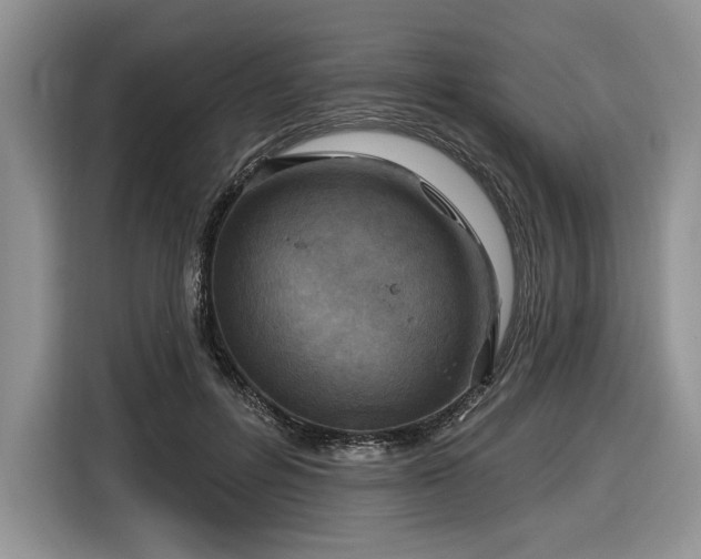 X0000116630600200912181326