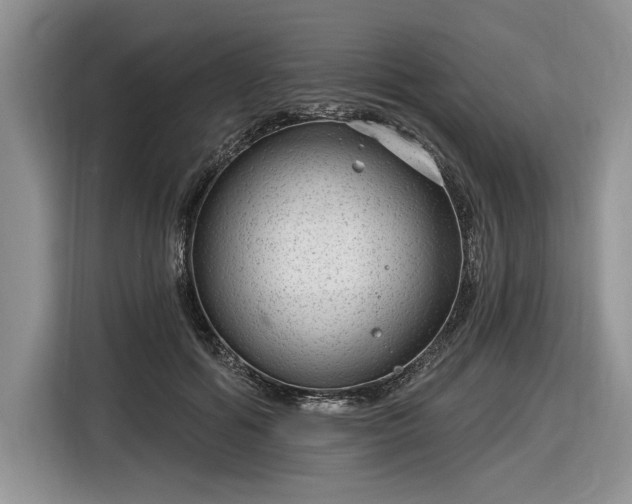 X0000116630602200912181326