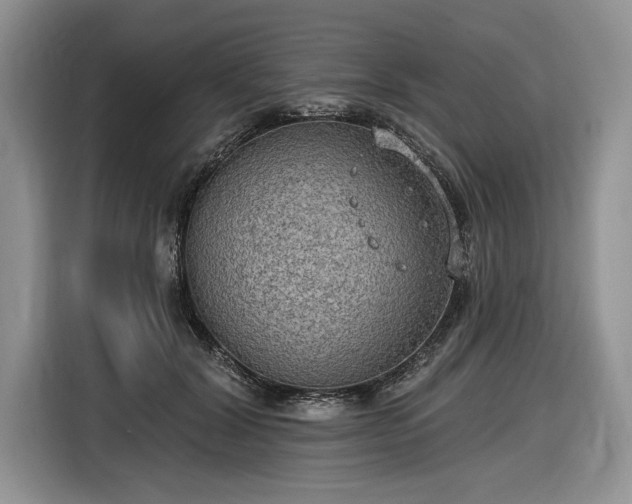 X0000116630604200912181326