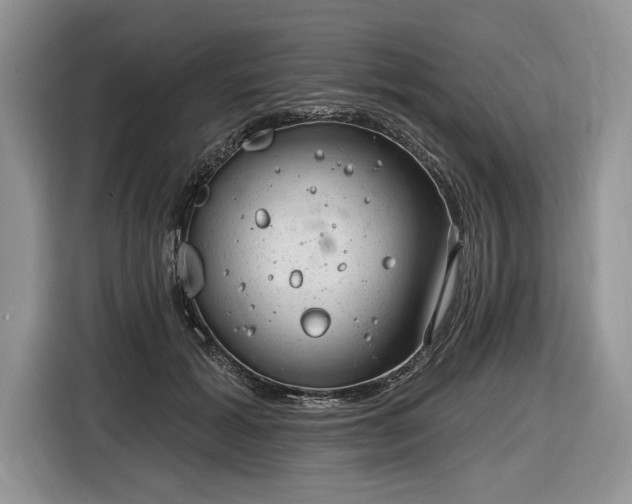 X0000116630605200912181326