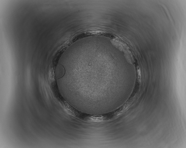 X0000116630606200912181326