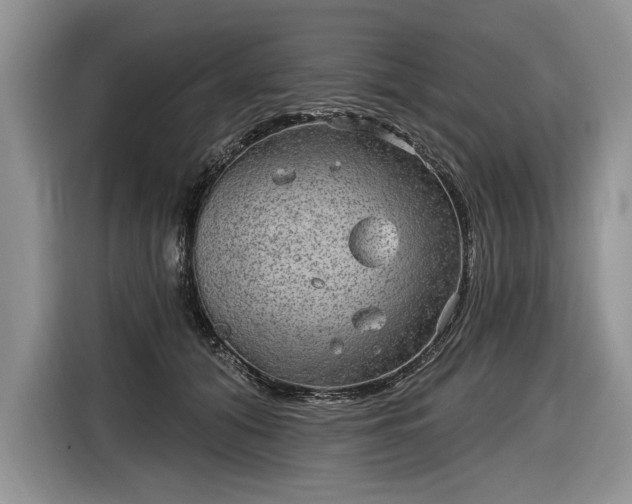 X0000116630608200912181326