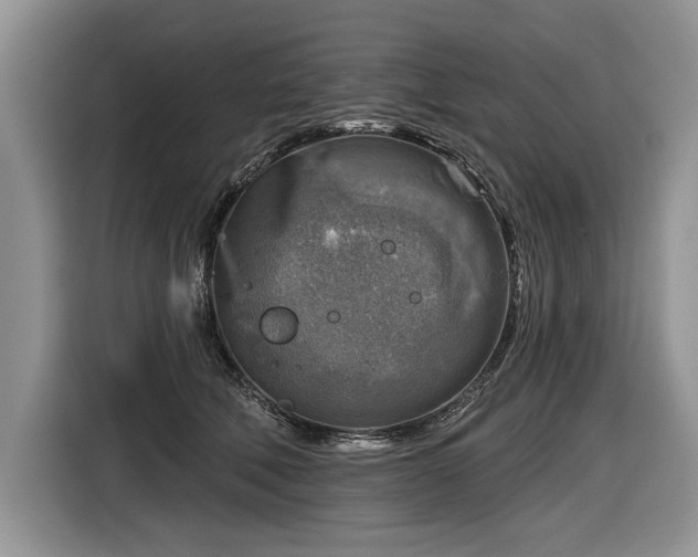 X0000116630610200912181326