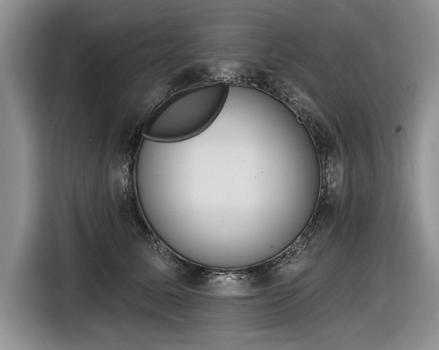 X0000116630611200912181326