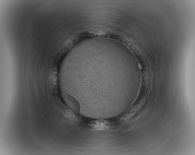 X0000116630612200912181326