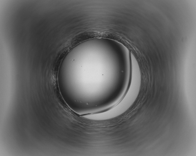 X0000116630613200912181326