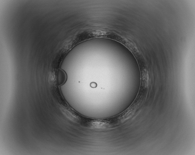 X0000116630614200912181326