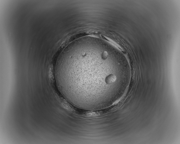 X0000116630616200912181326