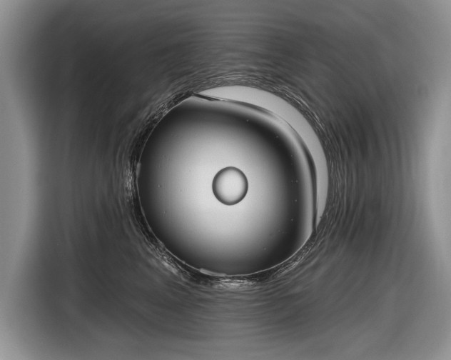 X0000116630617200912181326