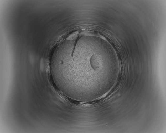 X0000116630620200912181326