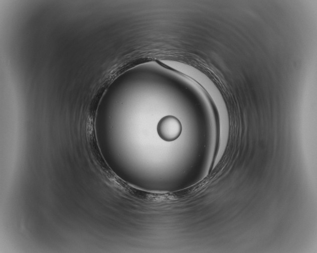 X0000116630621200912181326