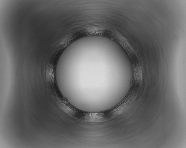 X0000116630622200912181326