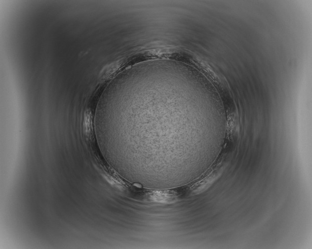 X0000116630623200912181326