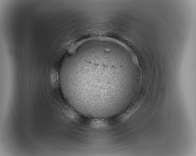 X0000116630624200912181326