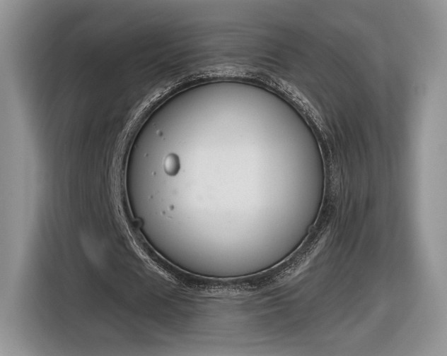 X0000116630625200912181325