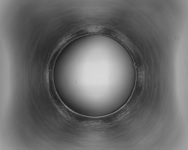 X0000116630626200912181325