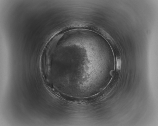 X0000116630627200912181325