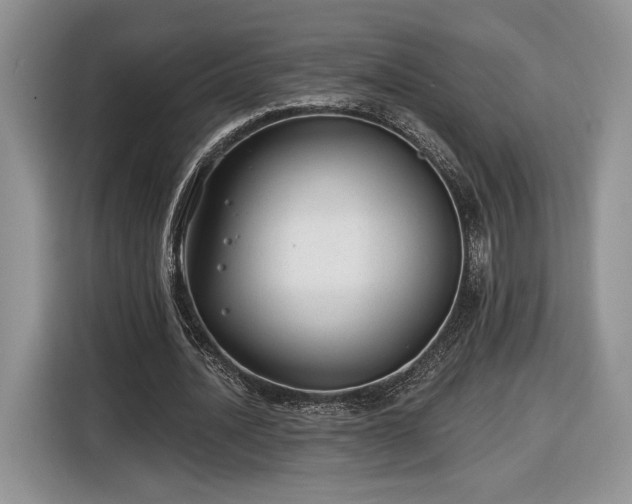 X0000116630628200912181325