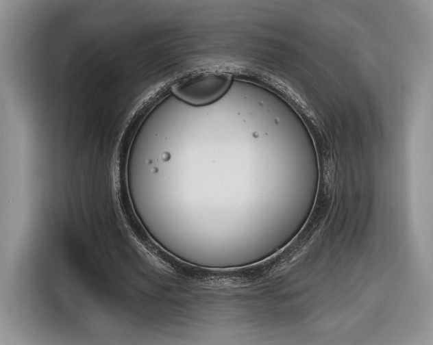 X0000116630629200912181325