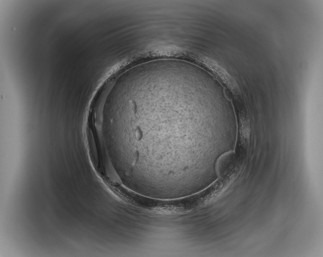 X0000116630630200912181325