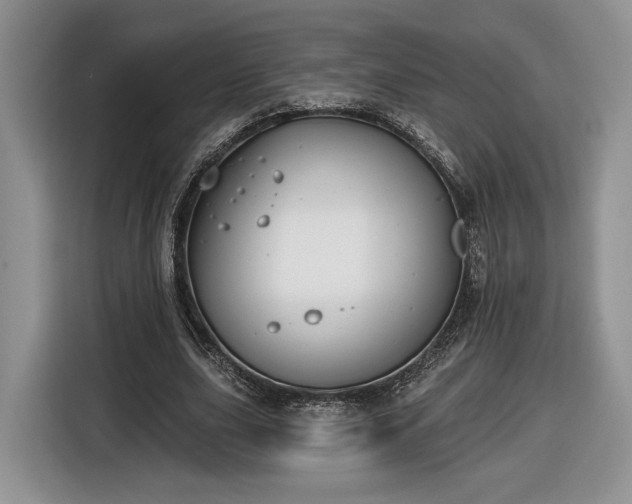 X0000116630631200912181325