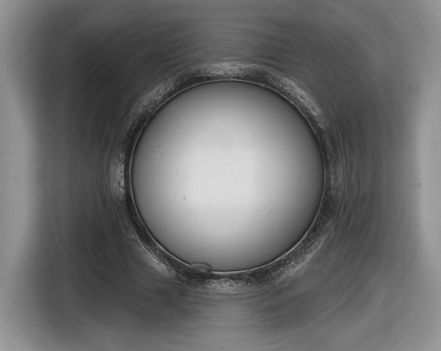 X0000116630633200912181325