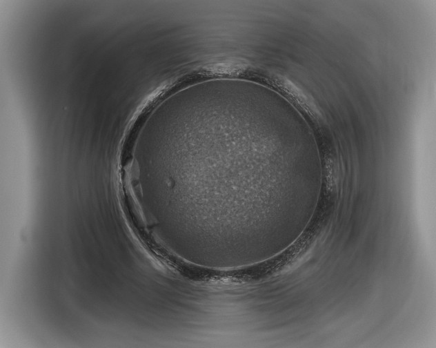 X0000116630634200912181325