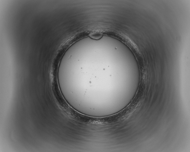 X0000116630635200912181326