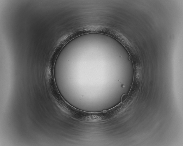 X0000116630636200912181326