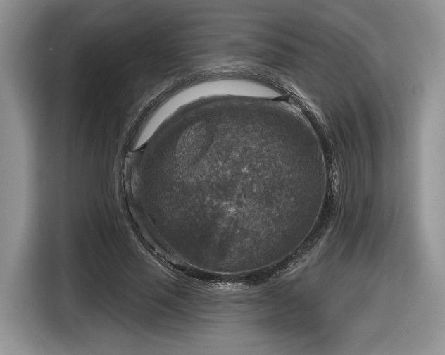 X0000116630637200912181326