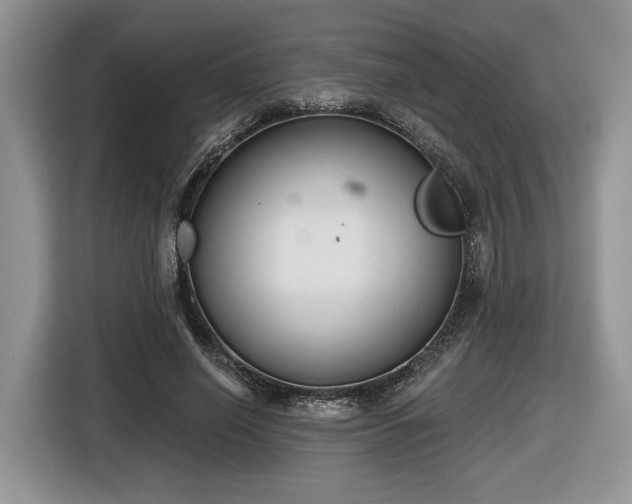 X0000116630638200912181326