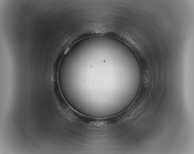 X0000116630639200912181326