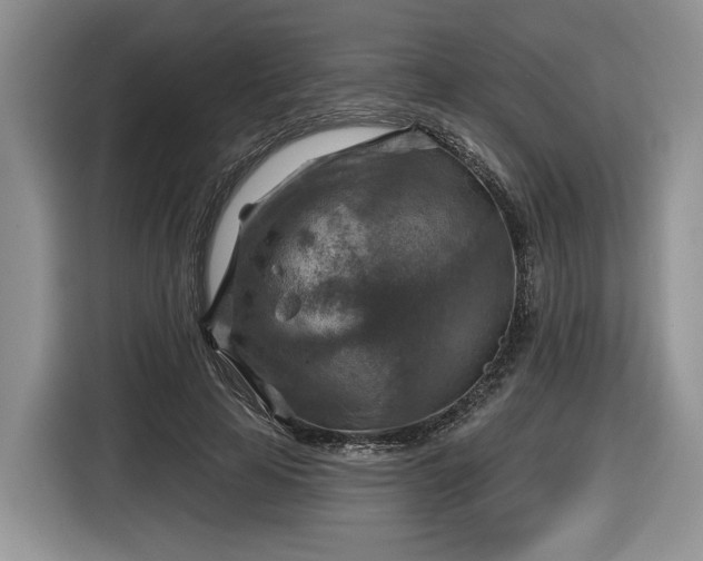 X0000116630641200912181326