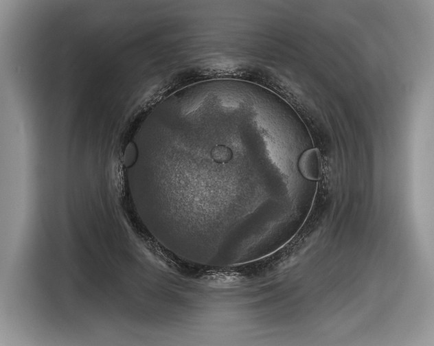 X0000116630642200912181326