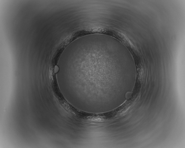 X0000116630643200912181326