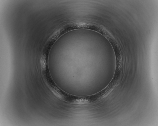 X0000116630644200912181326