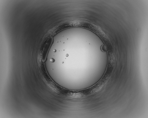 X0000116630645200912181326