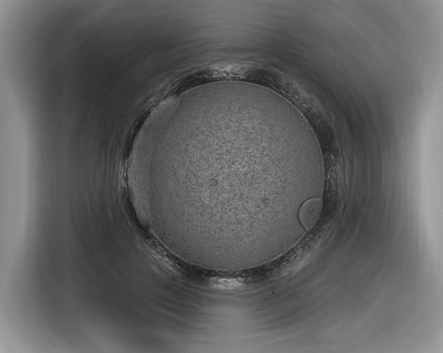 X0000116630649200912181326