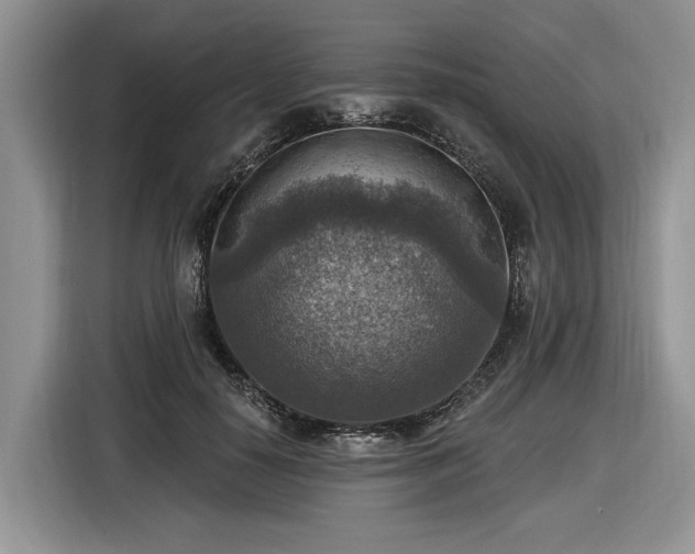 X0000116630650200912181326