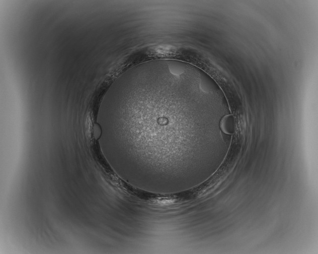 X0000116630651200912181326