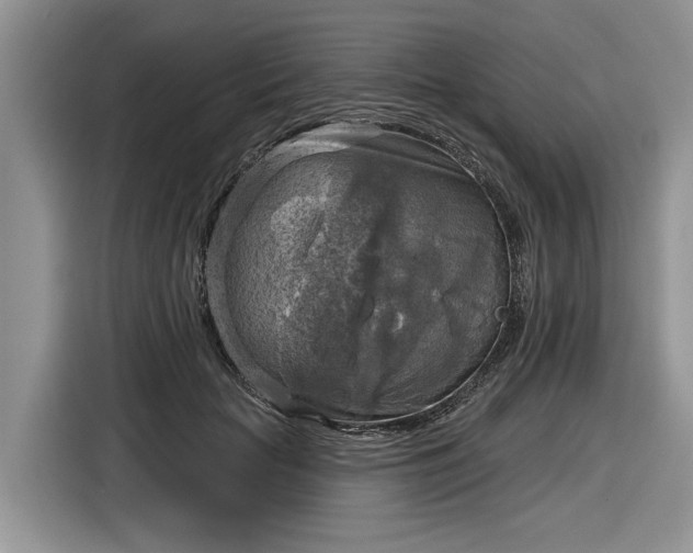 X0000116630653200912181326