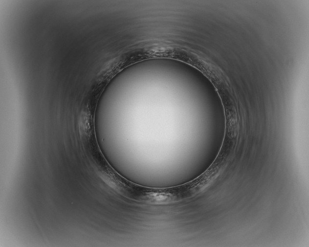 X0000116630654200912181326