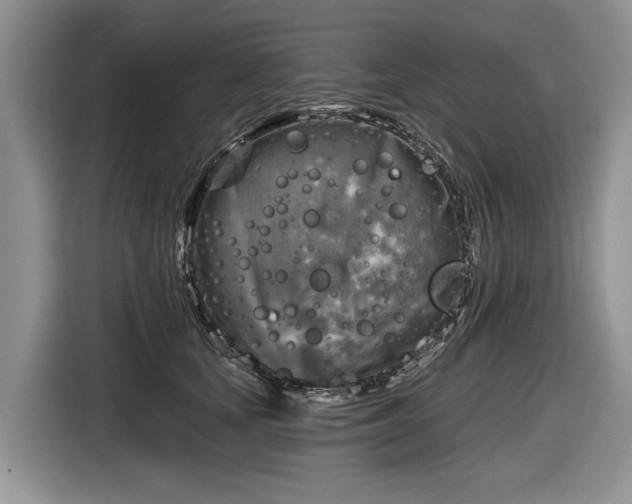 X0000116630659200912181326