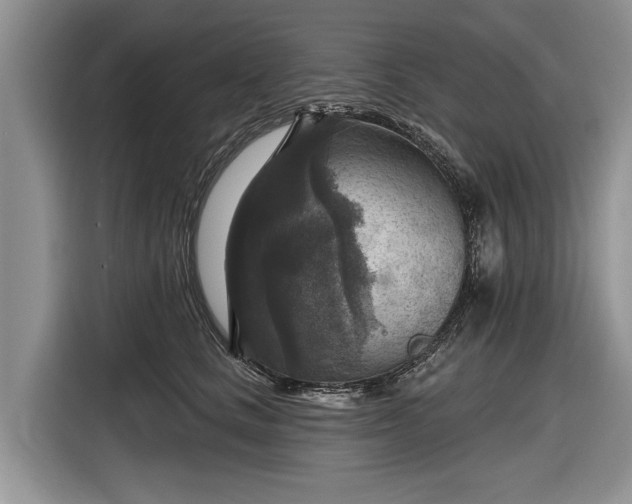 X0000116630661200912181326